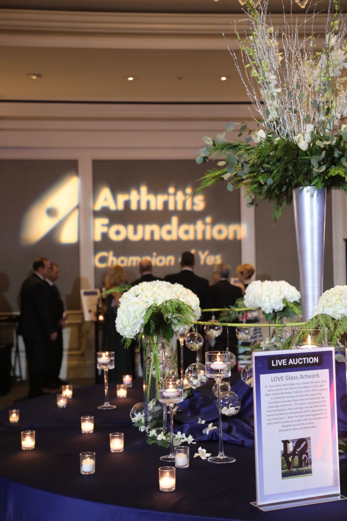 2018-Arthritis-Ball-006.JPG